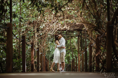LIS - Zhen Hao & Xue Ying. Photography by Loveinstills at Singapore Botanic Garden