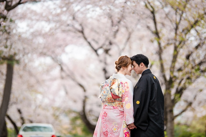 Aoyama Cemetery, Hanami Sakura photoshoot