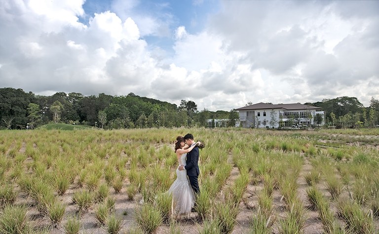 Jurong Lake Garden Lalang Fields